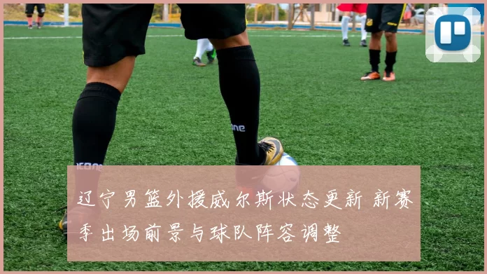 辽宁男篮外援威尔斯状态更新 新赛季出场前景与球队阵容调整